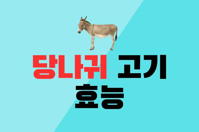 당나귀 고기 효능 10가지 (맛, 조리법)