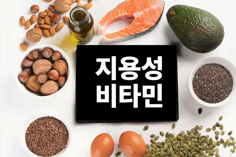 지용성 비타민 종류 음식