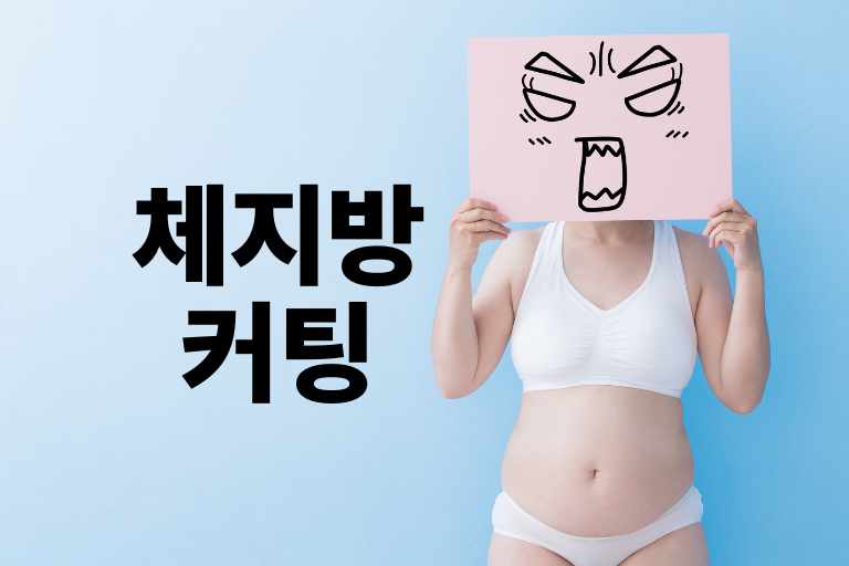 체지방 커팅 다이어트 건강 정보