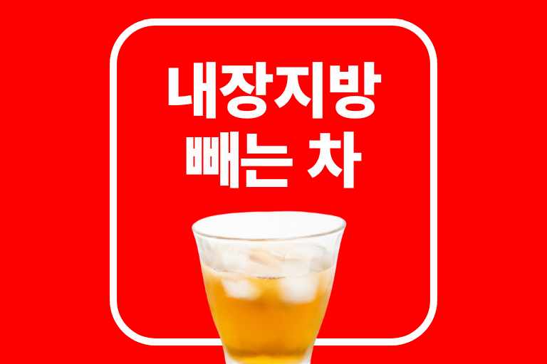 내장지방빼는 차