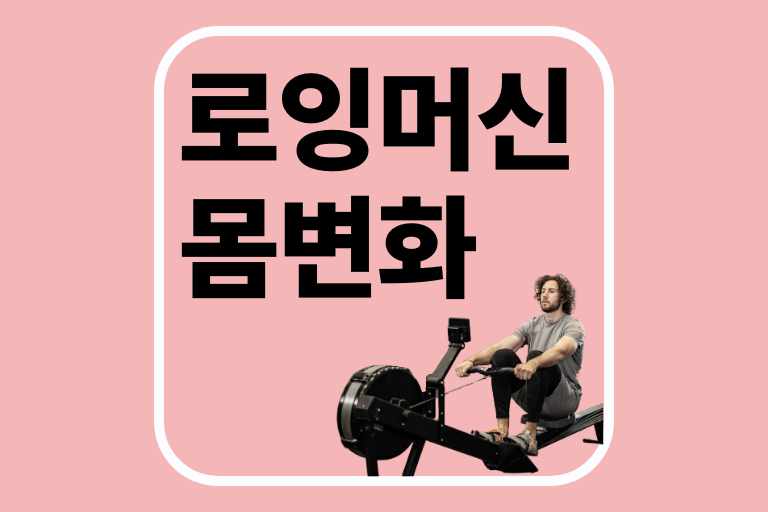 로잉머신 몸변화 운동 헬스 건강 정보