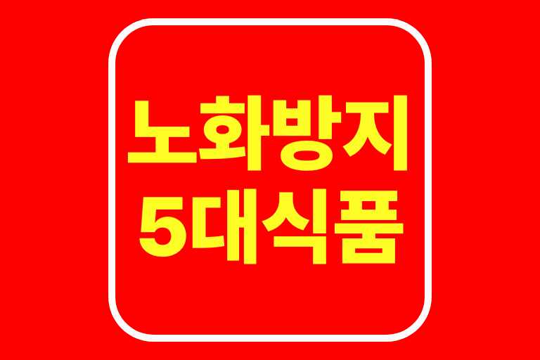 노화 방지 5대 식품