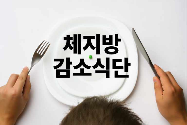 체지방 감소 식단