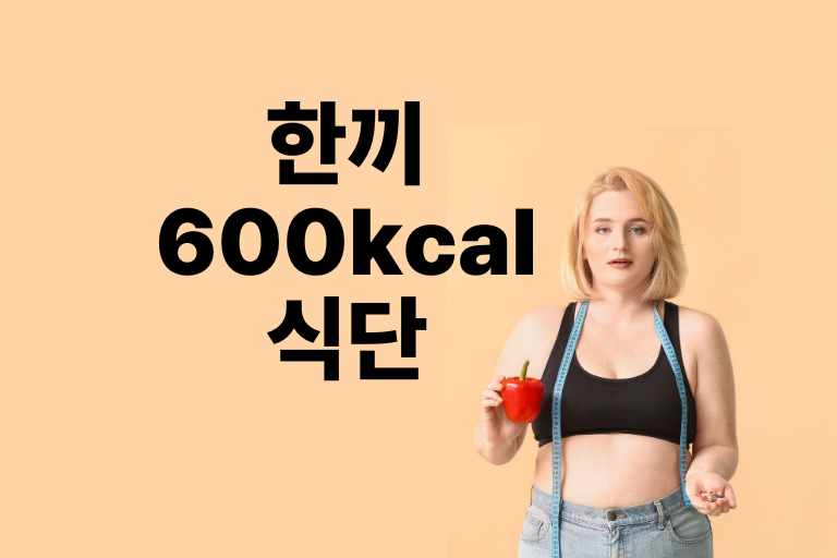 한끼 600칼로리 식단