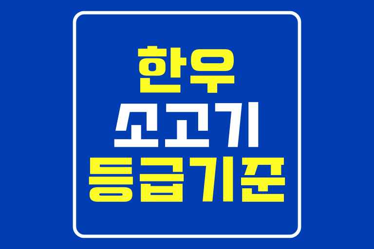 한우 소고기 등급 기준