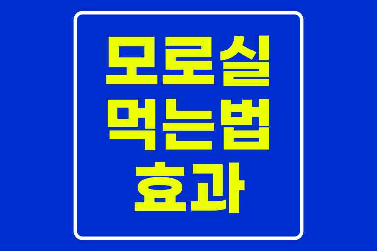 모로 실 먹는 법